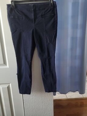 Loft 604 Deep Navy Cropped Ankle Jeans